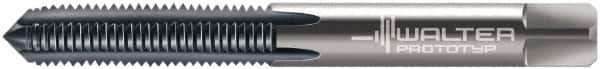 Walter-Prototyp - 5/16-18 UNC 2B 3 Flute TiCN Finish Solid Carbide Straight Flute Machine Tap - Modified Bottoming, Right Hand Thread, 90mm OAL, 25mm Thread Length, Oversize - Benchmark Tooling