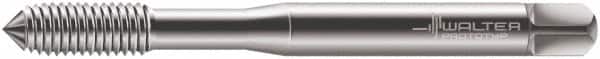 Walter-Prototyp - M2x0.40 Metric 6HX Modified Bottoming Thread Forming Tap - Cobalt, Bright Finish, 45mm OAL, 6mm Thread Length, Right Hand Thread, Series D7061100 - Benchmark Tooling