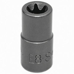 SK - Hand Socket - Benchmark Tooling