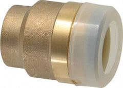 Watts - 3/4" Outside Diam, Brass Push-to-Connect Tube End Stop - Tube to Tube Connection, EPDM O-Ring - Benchmark Tooling