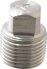 Merit Brass - 3/8" Grade 316/316L Stainless Steel Pipe Square Head Plug - MNPT End Connections, 3,000 psi - Benchmark Tooling