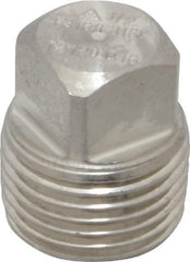 Merit Brass - 1/2" Grade 316/316L Stainless Steel Pipe Square Head Plug - MNPT End Connections, 3,000 psi - Benchmark Tooling