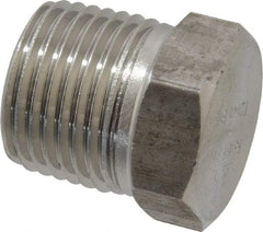 Merit Brass - 1/2" Grade 316/316L Stainless Steel Pipe Hex Head Plug - MNPT End Connections, 3,000 psi - Benchmark Tooling