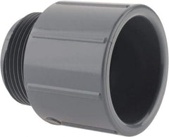 Value Collection - 1-1/4" CPVC Plastic Pipe Male Adapter - Schedule 80, MIPT x Slip End Connections - Benchmark Tooling