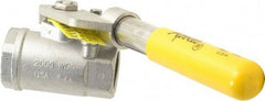 Apollo - 1" Pipe, Stainless Steel Standard Ball Valve - 2 Piece, Inline - One Way Flow, FNPT x FNPT Ends, Deadman Lever (Spring Return to Close) Handle, 2,000 WOG, 150 WSP - Benchmark Tooling