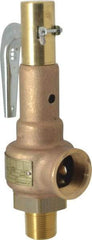 Conbraco - 1" Inlet, 1-1/4" Outlet, High Pressure Safety Relief Valve - 125 Max psi, Bronze, 2,189 Lb per Hour - Benchmark Tooling