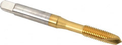 OSG - 1/4-28 UNF, 2 Flute, TiN Finish, High Speed Steel Spiral Point Tap - Plug Chamfer, Right Hand Thread, 2-1/2" OAL, 1" Thread Length, 0.255" Shank Diam, 3B Class of Fit, Series 105 - Exact Industrial Supply