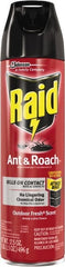 Raid - Pack of (12) 17.5-oz Aerosol Cans Ant, Roach, Silverfish, Spider & Waterbug Killer - Benchmark Tooling