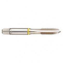 M10x1.5 6H 3-Flute Cobalt Yellow Ring Spiral Point Plug Tap-Bright - Benchmark Tooling