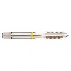 M2x0.40 6H 3-Flute Cobalt Yellow Ring Spiral Point Plug Tap-Bright - Benchmark Tooling