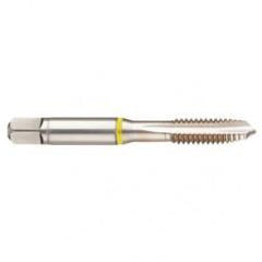 42377 2B 4-Flute Cobalt Yellow Ring Spiral Point Plug Tap-Bright - Benchmark Tooling