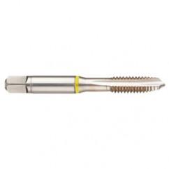 40241 2B 4-Flute Cobalt Yellow Ring Spiral Point Plug Tap-Bright - Benchmark Tooling