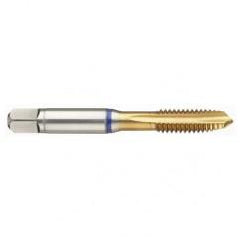 M2x0.40 6H 3-Flute PM Cobalt Blue Ring Spiral Point Plug Tap-TiN - Benchmark Tooling