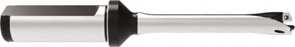Allied Machine and Engineering - Series 12, 12 to 12.99mm Diam, 3/4" Diam Straight Shank with Flange, Straight Flute Spade Drill - 1-35/64" Max Depth, 4.736" OAL, Standard Length, Through Coolant - Benchmark Tooling