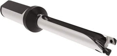 Allied Machine and Engineering - Series 12, 12 to 12.99mm Diam, 3/4" Diam Straight Shank with Flange, Straight Flute Spade Drill - 5.1142" Max Depth, 6.199" Body Length, 8-5/16" OAL, Long Length, Through Coolant - Benchmark Tooling