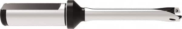 Allied Machine and Engineering - Series 12, 12 to 12.99mm Diam, 20mm Diam Straight Shank with Flange, Straight Flute Spade Drill - 39mm Max Depth, 118.7mm OAL, Standard Length, Through Coolant - Benchmark Tooling