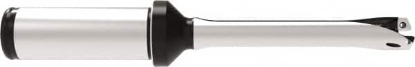 Allied Machine and Engineering - Series 12, 12 to 12.99mm Diam, 20mm Diam Straight Shank with Flange, Straight Flute Spade Drill - 39mm Max Depth, 118.7mm OAL, Standard Length, Through Coolant - Benchmark Tooling