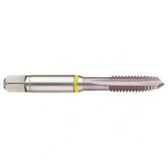 41828 2B 4-Flute Cobalt Yellow Ring Spiral Point Plug Tap-MolyGlide - Benchmark Tooling