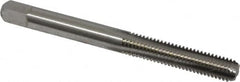 Cleveland - #12-28 UNF 2B/3B 4 Flute Bright Finish High Speed Steel Straight Flute Standard Hand Tap - Bottoming, Right Hand Thread, 2-3/8" OAL, 1/2" Thread Length, H3 Limit, Oversize - Exact Industrial Supply