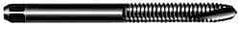 OSG - #12-24 UNC, 2 Flute, Oxide Finish, High Speed Steel Spiral Point Tap - Plug Chamfer, Right Hand Thread, 2-3/8" OAL, 15/16" Thread Length, 0.22" Shank Diam, 2B/3B Class of Fit, Series 105A - Exact Industrial Supply