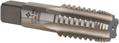 Cleveland - 1/2-14 NPTF, 4 Flutes, Bright Finish, High Speed Steel, Interrupted Thread Pipe Tap - 3-1/8 Inch Overall Length, 11/16 Inch Shank Diameter, 1-3/8 Inch Thread Length, 0.51 Inch Square Size, Regular Hook, Plug Chamfer - Benchmark Tooling