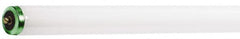 Philips - 56 Watt Fluorescent Tubular Single Pin Lamp - 6,500°K Color Temp, 3,800 Lumens, T12, 12,000 hr Avg Life - Benchmark Tooling