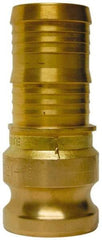 EVER-TITE Coupling Products - 2-1/2" Brass Cam & Groove Suction & Discharge Hose Male Adapter Hose Shank - Part E, 250 Max psi - Benchmark Tooling