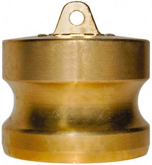 EVER-TITE Coupling Products - 2-1/2" Brass Cam & Groove Suction & Discharge Hose Dust Plug For Use with Couplers - Part DP, 250 Max psi - Benchmark Tooling