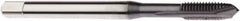 Seco - M5x0.80 Metric, 3 Flute, TiCN Finish, Cobalt Spiral Point Tap - Plug Chamfer, Right Hand Thread, 70mm OAL, 12.6mm Thread Length, 6mm Shank Diam, 6H Class of Fit - Exact Industrial Supply