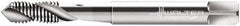 Walter-Prototyp - #2-56 UNC 2 Flute 2B Modified Bottoming Spiral Flute Tap - Cobalt, Bright Finish, 45mm OAL, Right Hand Flute, Right Hand Thread, Series N22516 - Exact Industrial Supply