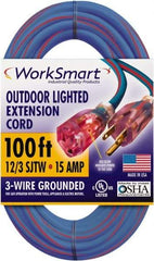 Value Collection - 100', 12/3 Gauge/Conductors, Blue/Red Outdoor Extension Cord - 1 Receptacle, 15 Amps, UL SJTW, NEMA 5-15P - Benchmark Tooling