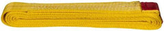 Value Collection - 8' Long x 2" Wide, 6,400 Lb Vertical Capacity, 1 Ply, Polyester Web Sling - 5,000 Lb Choker Capacity, with Endless Sling - Benchmark Tooling