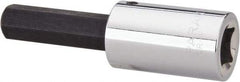 Paramount - 1/2" Drive, 1/2" Hex Bit Socket - 3-5/8" OAL, 1-7/8" Bit Length - Benchmark Tooling
