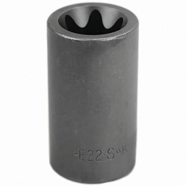 SK - Hand Socket - Benchmark Tooling
