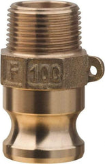 Value Collection - 2" Brass Cam & Groove Suction & Discharge Hose Male Adapter Male NPT Thread - Part F, 2" Thread, 1,000 Max psi - Benchmark Tooling