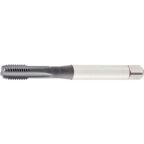 GT425002 M6X1 6HX STFL BOTT 371 - Exact Industrial Supply