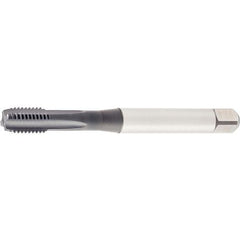 GT425005 M12X1.75 6HX STFL BOTT 376 - Exact Industrial Supply