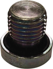 Parker - 1-1/4 Male Thread, Steel Industrial Pipe Hollow Hex Plug - MBSPP, 4,500 psi - Benchmark Tooling