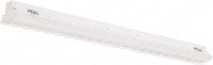 Philips - 48" Long x 3" High, Steel Light Fixture Wire Guard - For Use with PFSI Strips - Benchmark Tooling