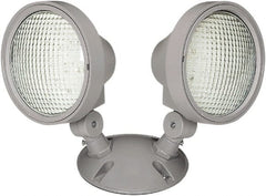 Philips - Emergency Lights Emergency Light Type: Remote Lighting Head Number of Heads: 2 - Benchmark Tooling