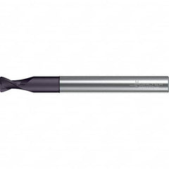 Walter-Prototyp - 6mm, 2 Flute, Solid Carbide, 0.2mm End Mill - 2.835" OAL, 30° Helix, Right Hand Flute, 24mm LOC, Right Hand Cut - Benchmark Tooling
