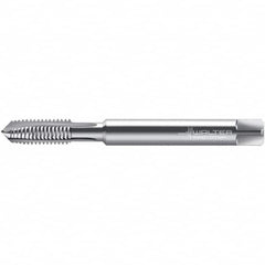 Walter-Prototyp - #3-48, 2 Flute, Uncoated, High Speed Steel Spiral Point Tap - Right Hand Thread, 45.86mm OAL, 9mm Thread Length, 2.8mm Shank Diam, Series 22207 - Exact Industrial Supply