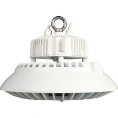 Eiko Global - 1 Lamp, 100 Watts, LED, High Bay Fixture - 11.81" Wide, 120-277 Volt, Steel Housing - Benchmark Tooling