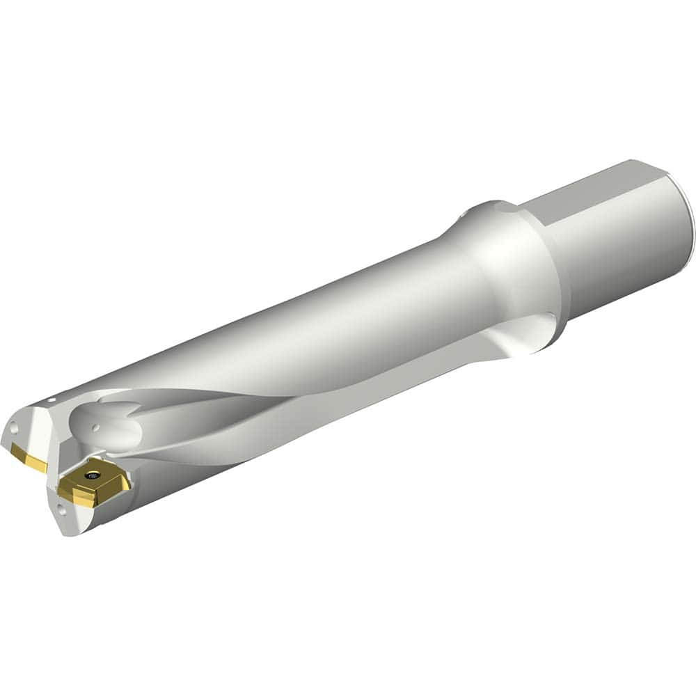 Indexable Insert Drills; Drill Style: DS20; Drill Diameter (mm): 53.00; Maximum Drill Depth (mm): 213.59; Shank Type: Straight-Cylindrical; Shank Diameter (mm): 50.00; Cutting Direction: Right Hand; Maximum Drill Depth Range (mm): 200.00+; Tool Material: