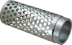 Dixon Valve & Coupling - 2" Hose, Round Hole-Long Body Strainer - Plated Steel - Benchmark Tooling