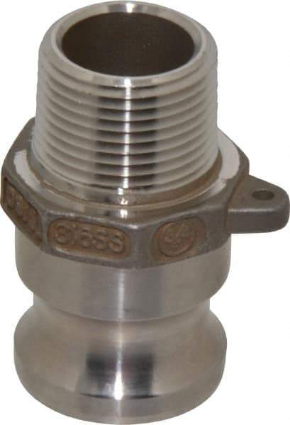 EVER-TITE Coupling Products - 3/4" Stainless Steel Cam & Groove Suction & Discharge Hose Male Adapter Male NPT Thread - Part F, 3/4" Thread, 250 Max psi - Benchmark Tooling