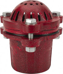 Value Collection - 2" Hose, Foot Valve - Cast Iron - Benchmark Tooling