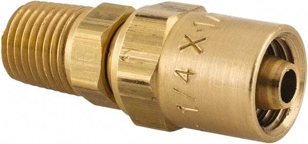 Dixon Valve & Coupling - 1/4 NPTF, Reusable Hose Male Fitting - 1/4" Hose ID x 1/2" Hose OD - Benchmark Tooling