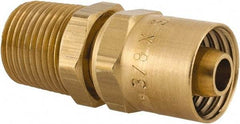 Dixon Valve & Coupling - 1/2 NPTF, Reusable Hose Male Fitting - 3/8" Hose ID x 3/4" Hose OD - Benchmark Tooling