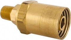 Dixon Valve & Coupling - 1/4 NPTF, Reusable Hose Male Fitting - 1/2" Hose ID x 15/16" Hose OD - Benchmark Tooling